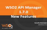 Introducing API Manager 1.7