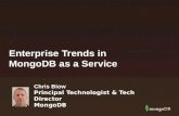 Enterprise Trends for MongoDB as a Service