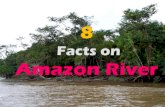 8 Facts on Amazon River