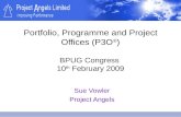 Portfolio Programming and Project Offices (P30)