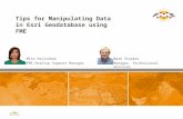 Tips for Manipulating Data in Esri Geodatabase using FME