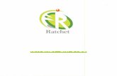 Technical Expert for Laptop/PC's technical Problems - Ratchet Infotech