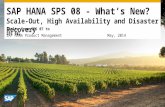 SAP HANA SPS08 Scale-Out, High Availability and Disaster Recovery