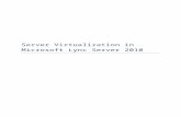 Server virtualization Lync Server 2010