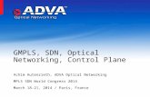 GMPLS, SDN, Optical Networking and Control Planes