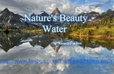 Nature's Beauty Water
