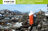 The Boxing Day tsunami: CAFOD's response