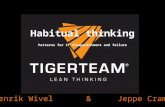 Habitual thinking - Patterns for IT disappointment and failure