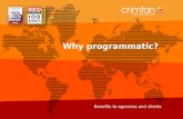 Crimtan. Why programmatic?