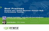 IDC & Gomez Webinar --Best Practices: Protect Your Online Revenue Through Web Performance Testing