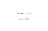 Pesach Trips