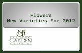 2012 NGB New Varieties-Flowers