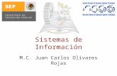 Sistemas de Información M.C. Juan Carlos Olivares Rojas.