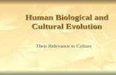 Human Biological and Cultural Evoluton