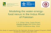 Modeling the water-energy-food nexus in the Indus River of Pakistan