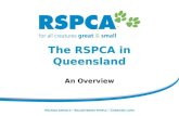 Rspca qld overview feb 2011