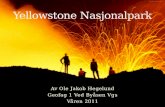Yellowstone Nasjonalpark / Yellowstone Nationalpark