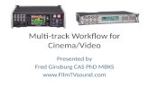 Multitrack Workflow for Cinema/Video