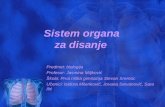 Sistem organa za disanje-Isidora Milenković-Jasmina Miljković