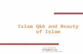 Islam Q&A and Beauty of Islam