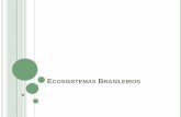 5a série   ecossistemas brasileiros
