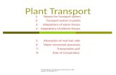 Plant transport