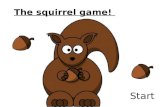 Squirrel game