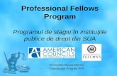 Professional Fellowship Program in Moldova