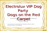 Baltic PR Awards 2011: Electrolux VIP Dog Party – Dogs on the Red Carpet