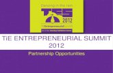 Partnership Opportunities at TiE Summit 2012