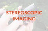 Stereoscopic Imaging