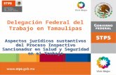 Aspectos jurídicos sustantivos del Proceso Inspectivo Sancionador en Salud y Seguridad en el Trabajo Delegación Federal del Trabajo en Tamaulipas.
