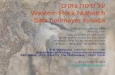 Hebrew presentation of Rock Nuthatch 2.6.09, Israel