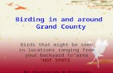 Birds of Grand County Colorado