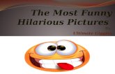 The Most Funny hilarious pictures