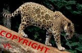 Copyrighting vs. plagiarism