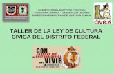 GOBIERNO DEL DISTRITO FEDERAL CONSEJERIA JURIDICA Y DE SERVICIOS LEGALES DIRECCION EJECUTIVA DE JUSTICIA CIVICA TALLER DE LA LEY DE CULTURA CIVICA DEL.