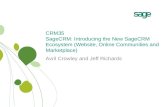 Crm35 introducing the new sage crm ecosystem insights2010
