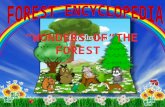 Forest encyclopedia part 2