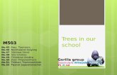 Some trees in our school by gorilla