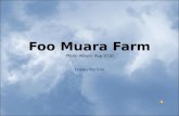 CYF Muara farm 2010 photo album