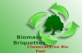 Biomass Briquettes- Pollution Free Briquettes