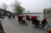 Hutongs Tour On A Rickshaw (北京胡同游）