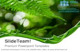 Fern frond frame nature power point themes templates and slides ppt designs