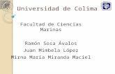 Universidad de Colima Facultad de Ciencias Marinas Ramón Sosa Ávalos Juan Mimbela López Mirna María Miranda Maciel.