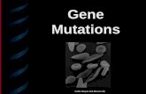 Gene mutations ppt