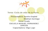 Tema: Ciclo de vida de la Rana Presentadora: Sandra Goglad Madelyn Santiago Tercer Grado ESCUELA MANUEL FERNANDEZ JUNCOS Capacitadora: Olga Lugo.