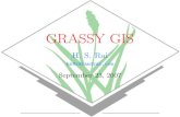 GRASSy GIS