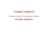 Fatigue  and creep rapture