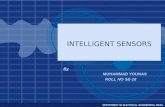 Intelligent sensor